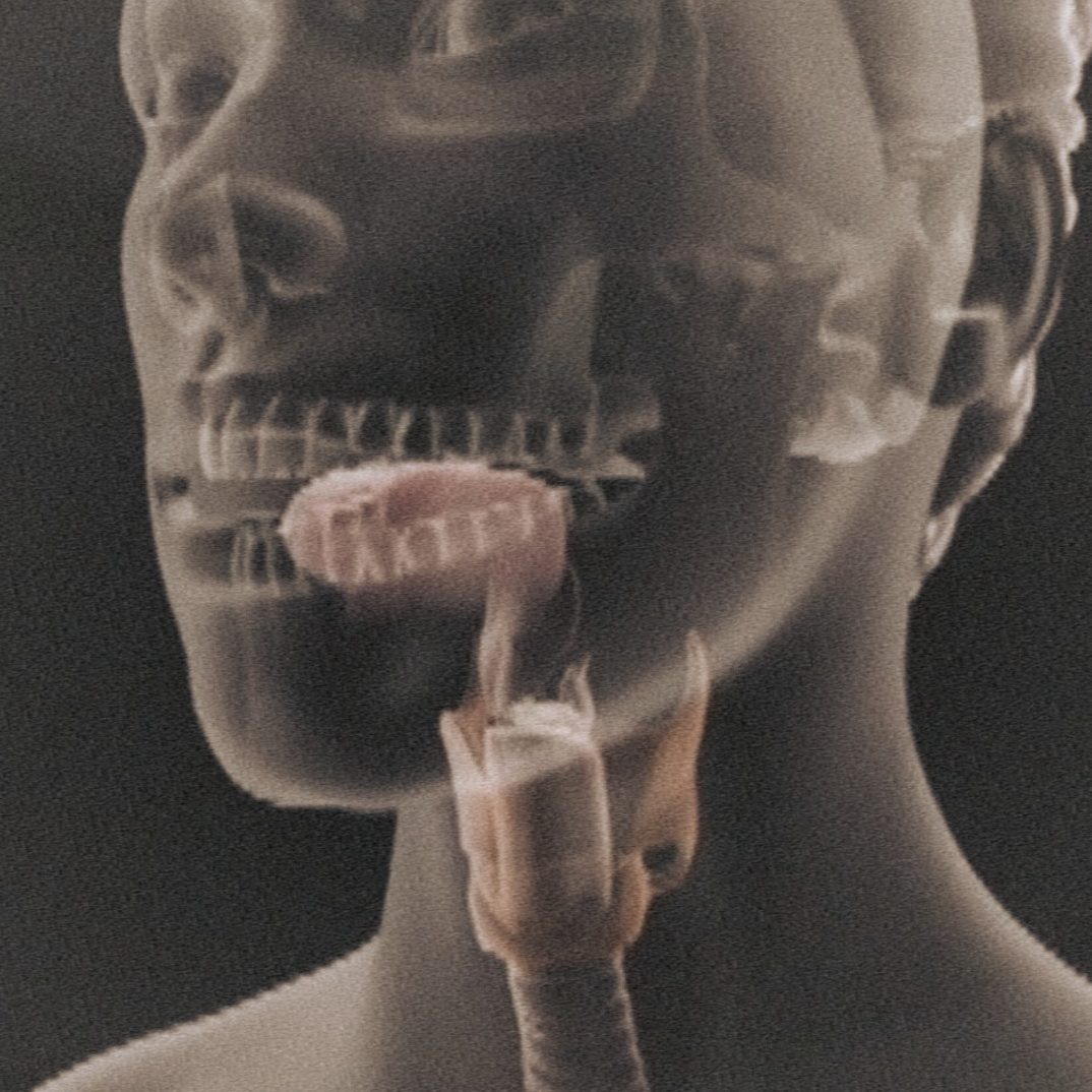 Foto: Helbling Verlag. Lehrprogrammm "die Stimme".